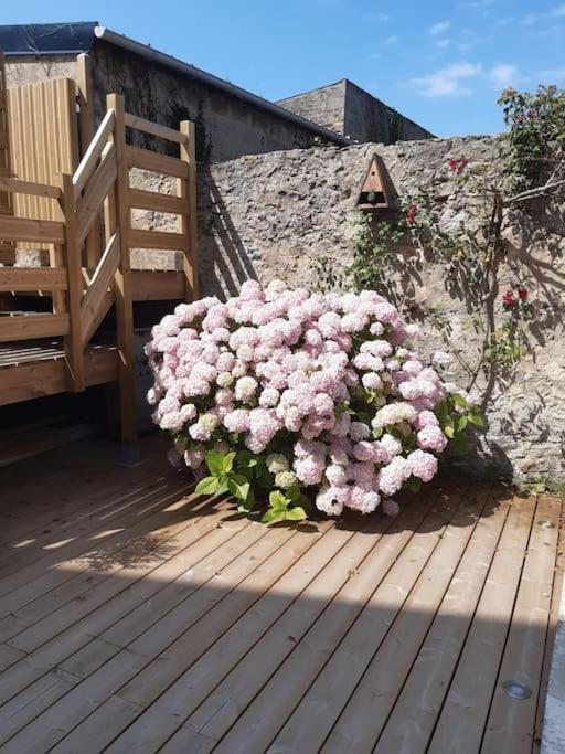 Mer - Gite Entierement Neuf A 100 Metres De La Plage Wimereux Exterior foto